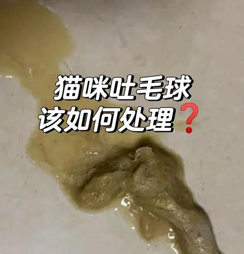 猫咪经常吐猫粮和毛球怎么办？可能的原因和解决方法是什么？