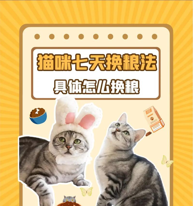 七天不吃猫粮怎么办？