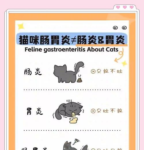 猫咪一吃就吐猫粮怎么办？可能的原因和解决方法？