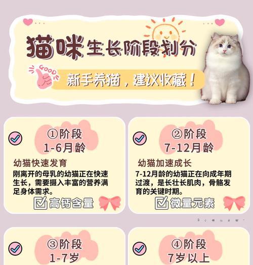 猫晚上不喂猫粮可以吗？应该怎样正确喂食？