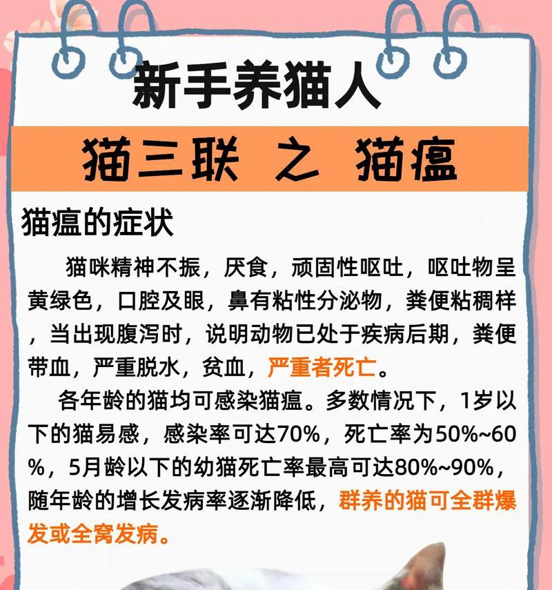 猫不吃猫粮只在饭后进食如何解决？