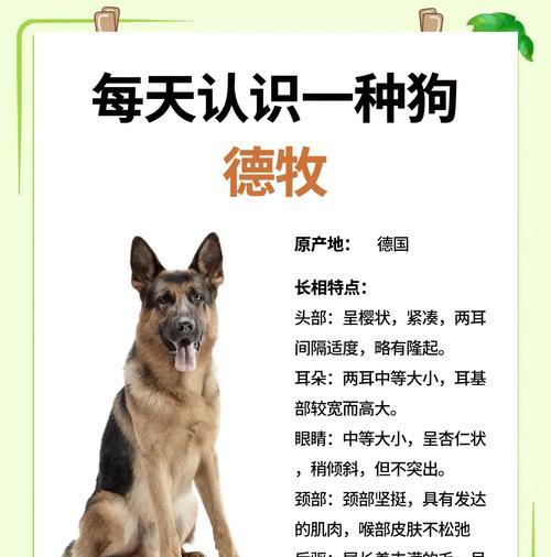 德牧小狗断奶的最佳时间是什么时候？