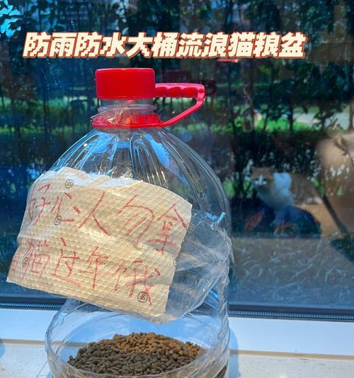 怎么用瓶子做猫粮勺？这个DIY项目需要什么材料？