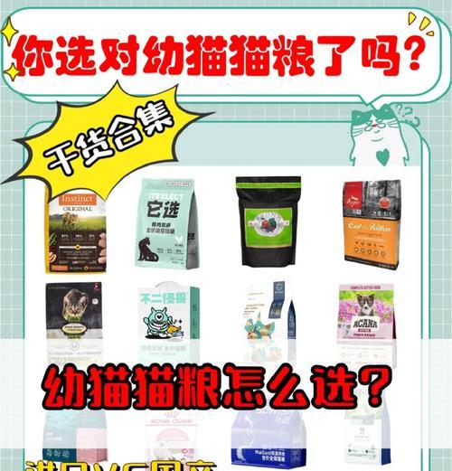 幼猫应该吃什么猫粮好吸收？如何选择合适的幼猫粮？