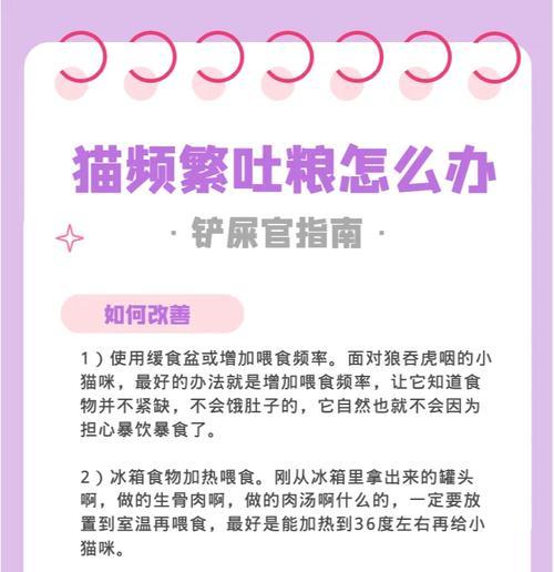 猫吐粮的原因是什么？