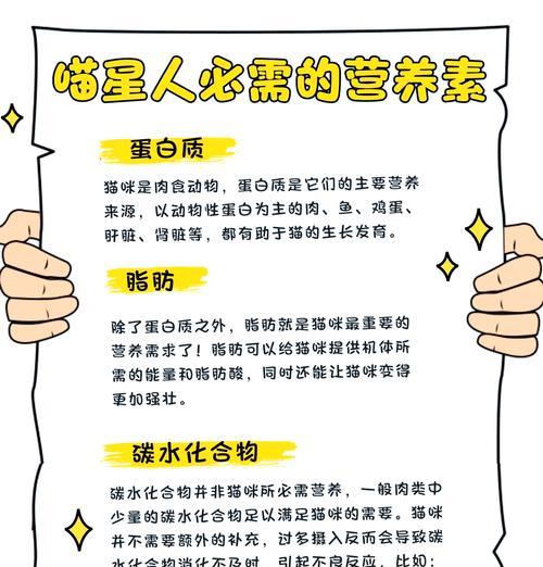 猫粮中缺少奶成分怎么办？如何补充猫咪所需营养？
