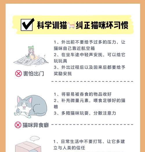 如何训练小猫只吃猫粮？戒掉猫饭的方法是什么？