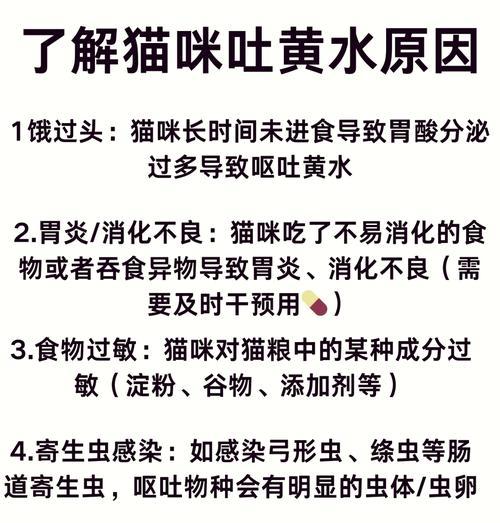 猫早晨吐猫粮黄水是什么原因？应该怎么办？