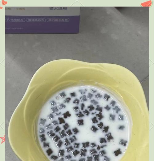 猫咪水碗里全是猫粮怎么回事？小猫前三个月都怎么喂什么猫粮？