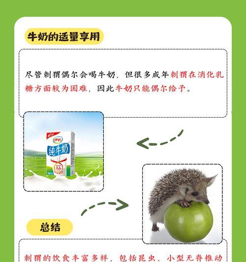 刺猬吃猫粮后不进食怎么处理？刺猬饮食习惯改变怎么办？