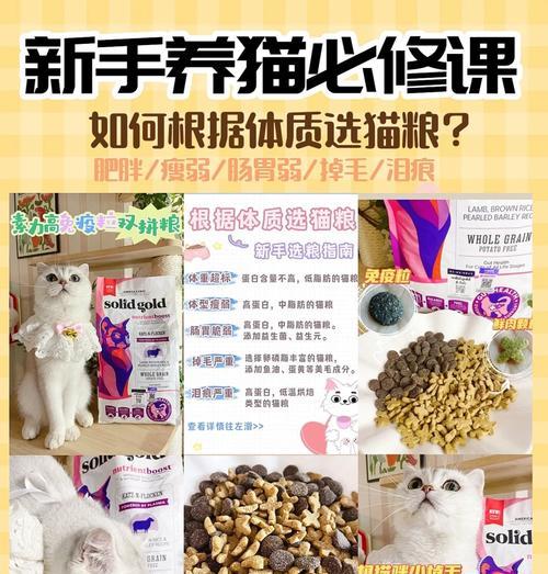 购买猫粮时如何选择适合自家猫咪的？