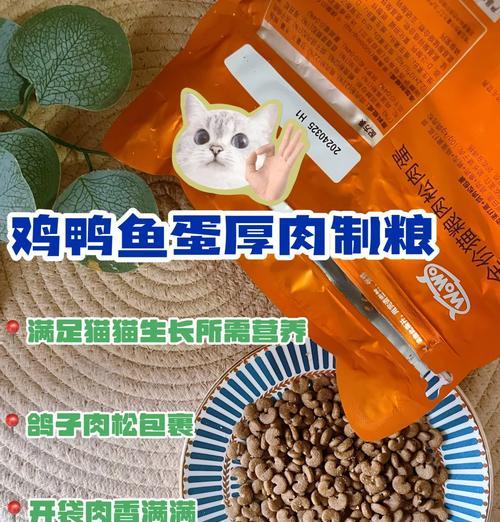 猫粮鸽子肉罐头怎么做的？制作过程中的注意事项是什么？