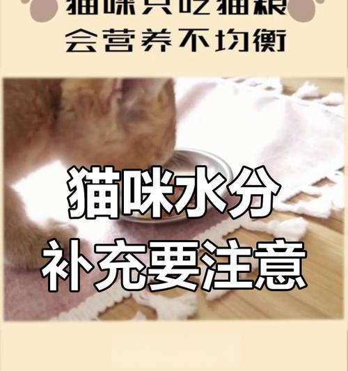 猫咪吃干猫粮会感到口渴吗？原因是什么？