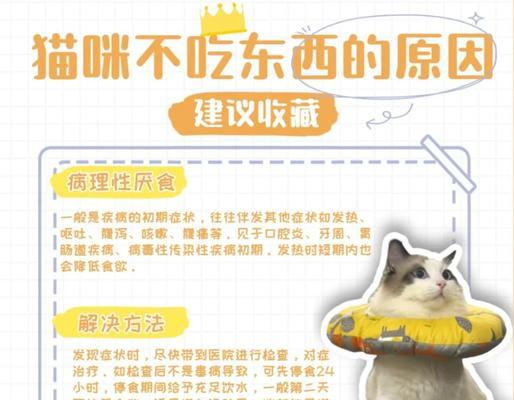 猫咪突然不吃剩粮了是为什么？可能的原因是什么？