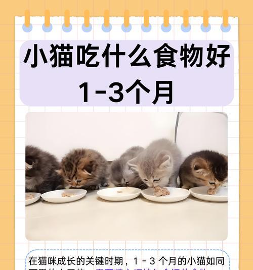 一个月大的小猫应该吃什么猫粮？