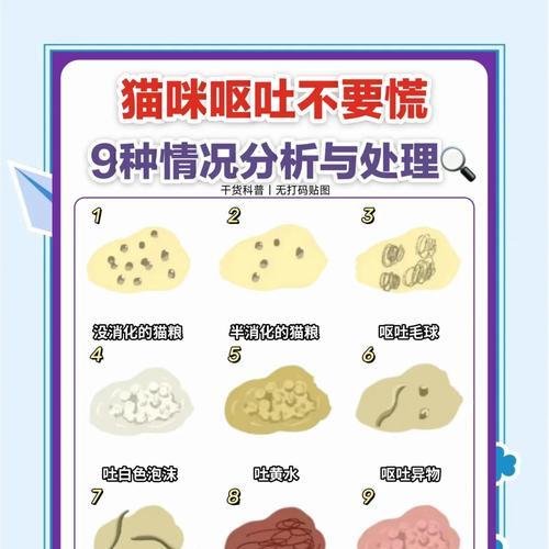猫咪吃猫粮哽咽怎么办？可能的原因及解决办法是什么？