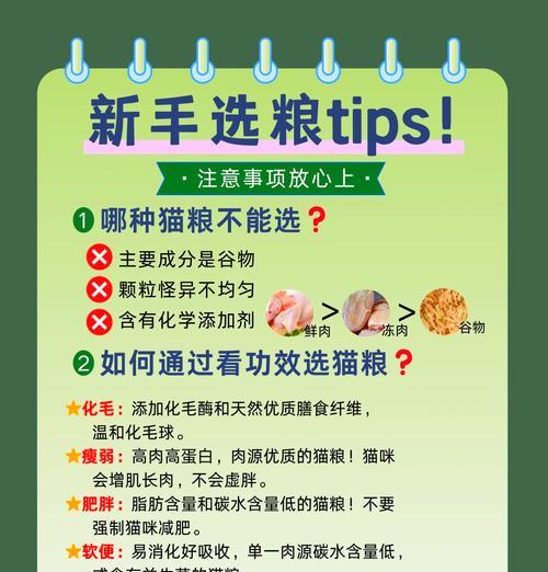猫粮放多了猫咪更爱吃吗？如何控制食量？