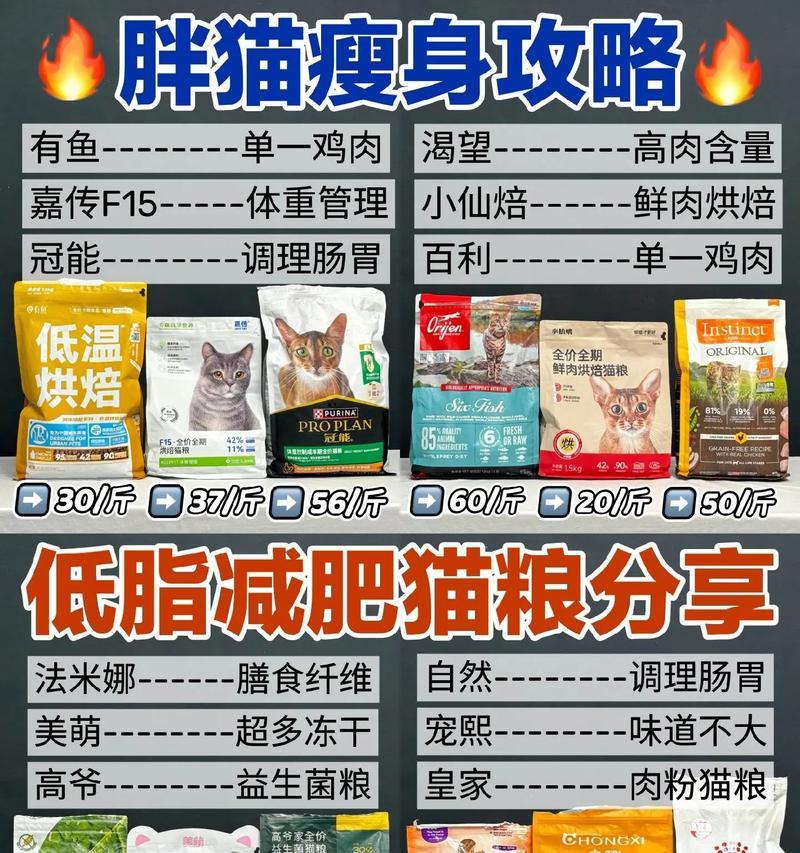 大胖猫总是想着吃猫粮是为什么？有什么解决方法？
