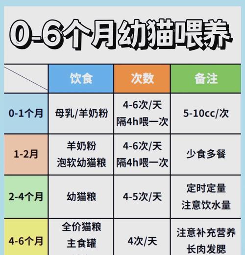 奶猫妈妈猫粮的正确喂食方法？