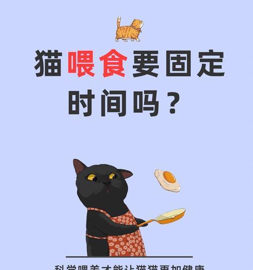 怎么设置猫粮的时间和日期？定时喂食的好处和设置方法？