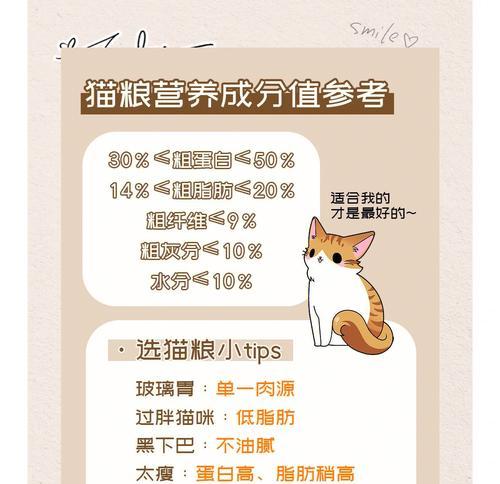 安静小猫适合哪些猫粮品牌？如何选择合适的猫粮？