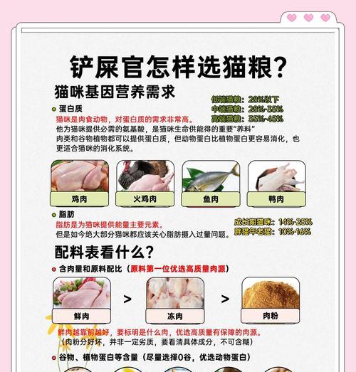 猫舍猫粮怎么买？选择时应注意哪些标准？