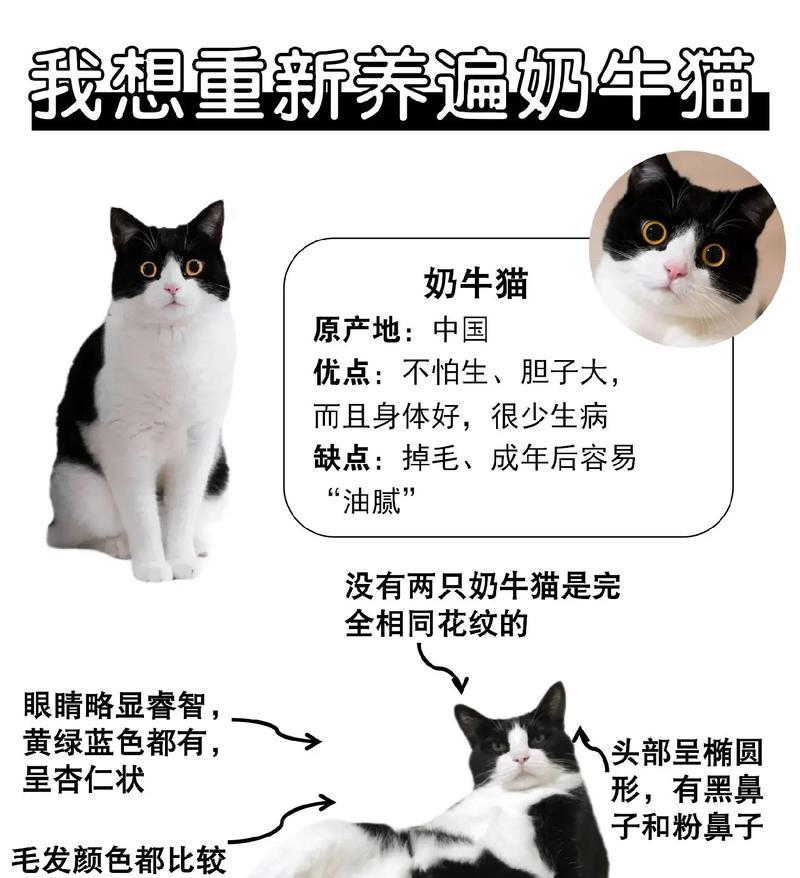 西城家园奶牛猫粮的品质如何？