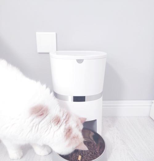 小号猫粮自动喂食器的使用方法是什么？如何设置？