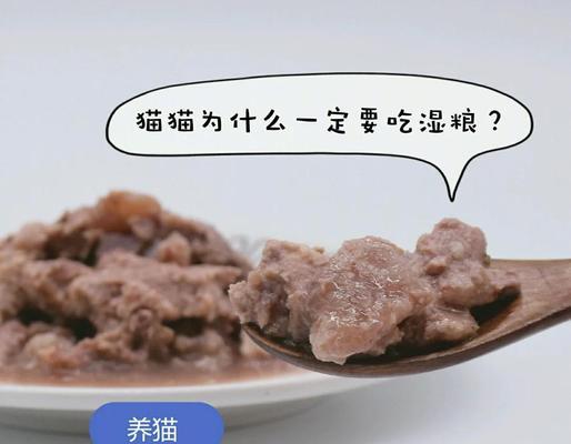 猫经常喂湿粮好吗？长期喂食湿粮对猫咪健康有何影响？