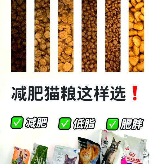 猫咪吃什么可以减少掉毛？市场上有哪些不掉毛的猫粮推荐？