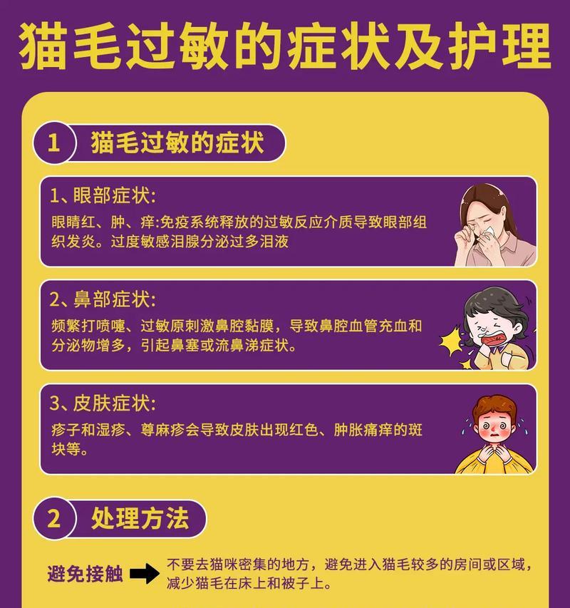 猫湿疹与猫粮有关吗？如何治疗？