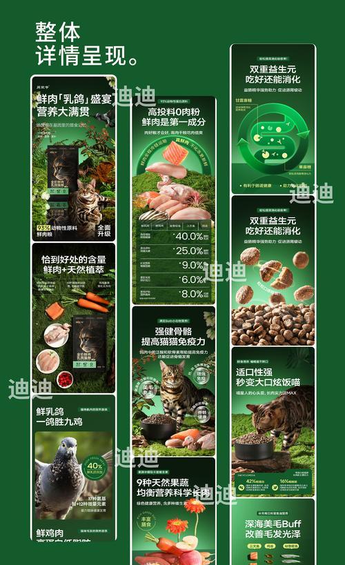 幼猫食用乳鸽猫粮后便秘是什么原因？如何解决？