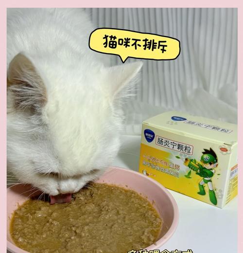 猫咪因优质猫粮拉肚子怎么办？推荐什么药物？