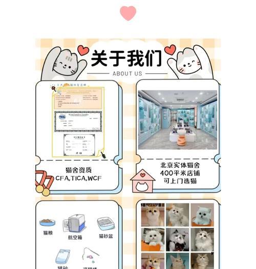 蓝猫拉的猫粮喂养方法是什么？