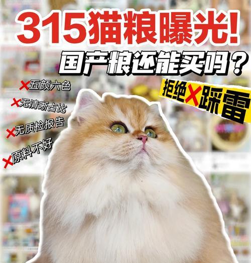 猫粮有骨泥吗怎么吃？骨泥猫粮的正确食用方法是什么？