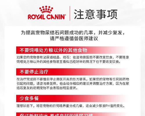 肾病猫咪的处方猫粮如何正确食用？有哪些特别的喂食建议？