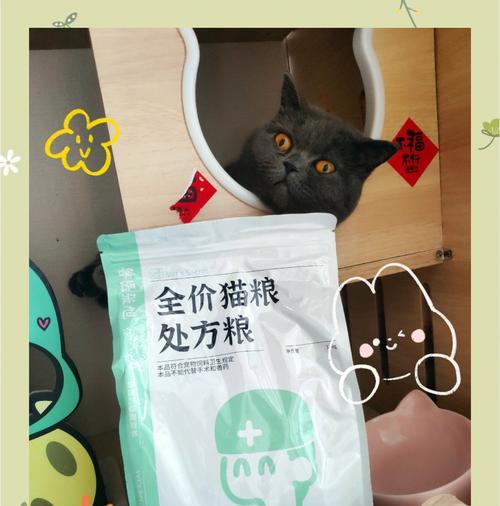 肾病猫咪的处方猫粮如何正确食用？有哪些特别的喂食建议？