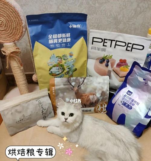 如何制作汤圆专属猫粮？
