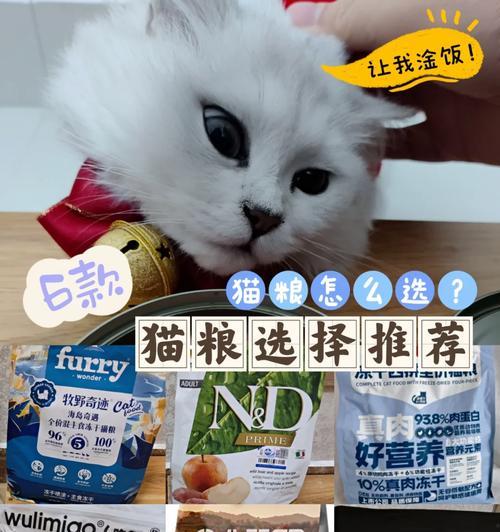 如何制作汤圆专属猫粮？