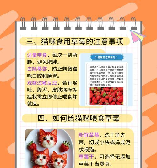 如何自制健康美味的猫粮？