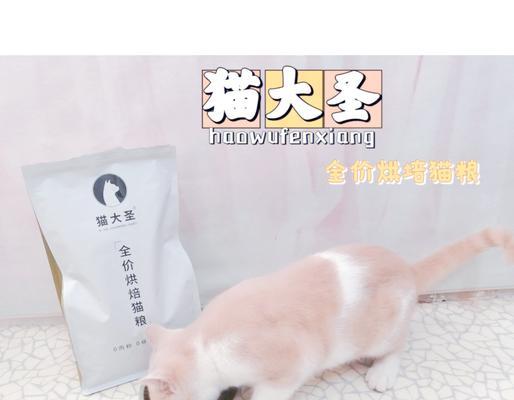 如何自制健康美味的猫粮？