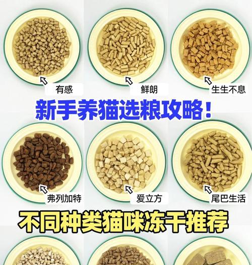 如何从猫粮中挑选出冻干？挑选冻干有哪些技巧？