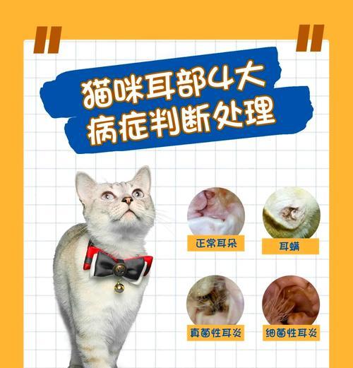 猫咪吃猫粮耳朵脏是正常现象吗？