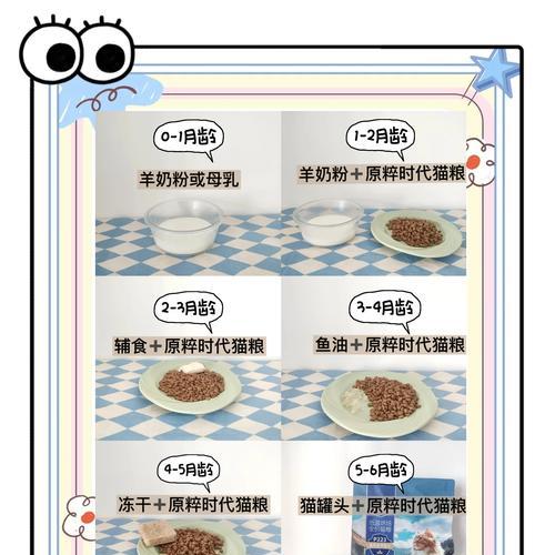 猫咪偏爱牛奶味猫粮吗？正确的喂食方法是什么？