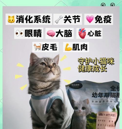 成猫误食幼猫粮会怎样？如何正确喂食？