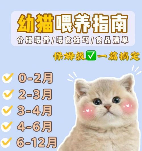 成猫误食幼猫粮会怎样？如何正确喂食？