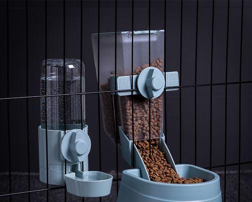 如何合理设置猫粮自动喂食器？