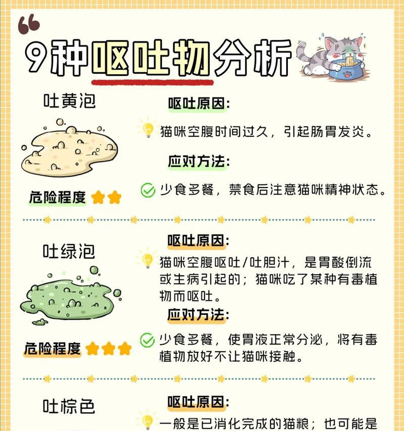 猫吃完猫粮后总呕吐是为什么？可能的健康问题有哪些？