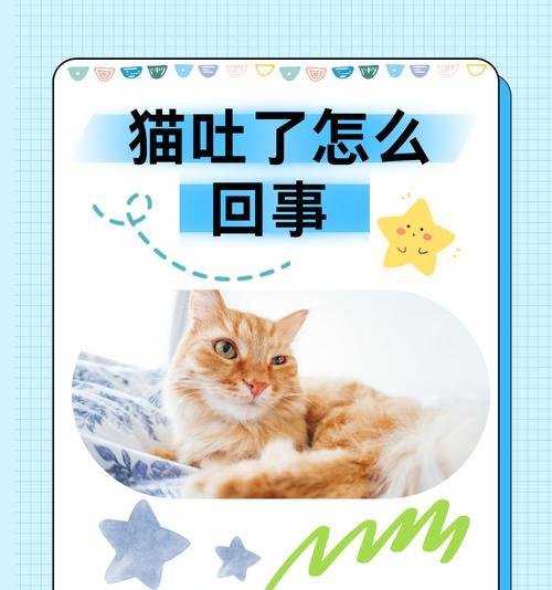 猫吃完猫粮后总呕吐是为什么？可能的健康问题有哪些？