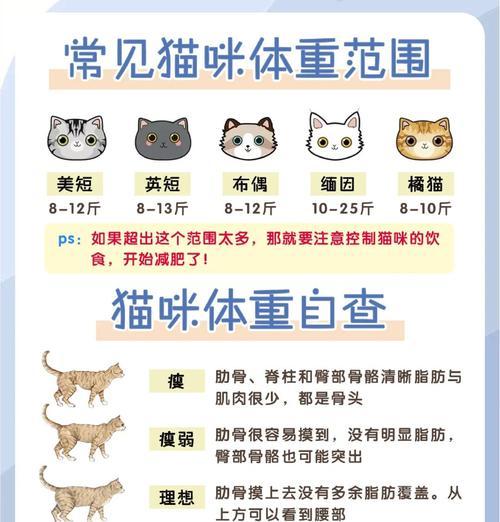 渴望猫粮导致猫咪发胖的原因是什么？如何控制体重？